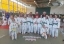 19. Werdauer Mädchen Pokal